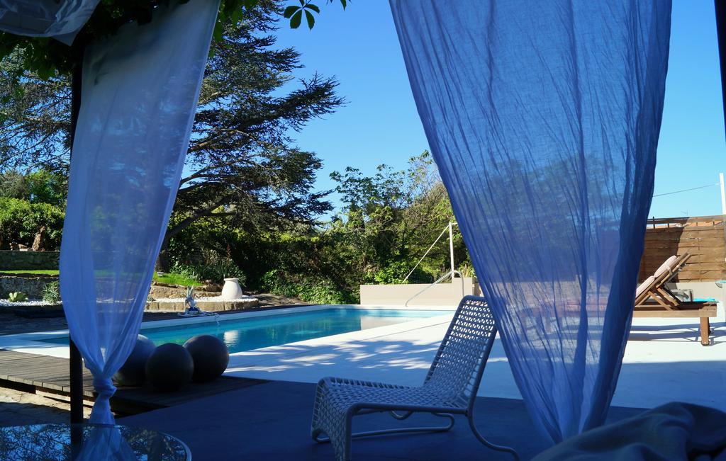 Chambre d'hôtes Clos du Petit Jésus Cassis Esterno foto